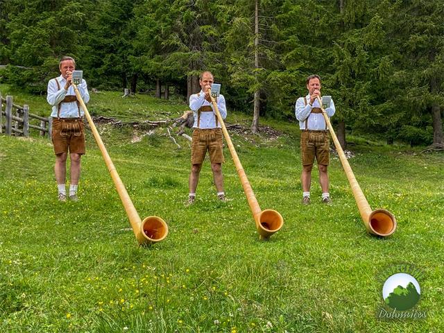 Foto per Intrattenimento musicale con i corni di montagna "Trio Ladinia"
