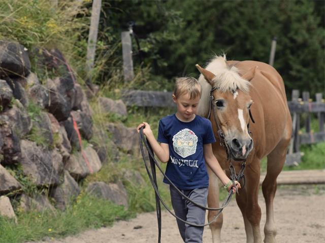 Foto per Kids Active - Ferro di cavallo: la fortuna dei cavalli